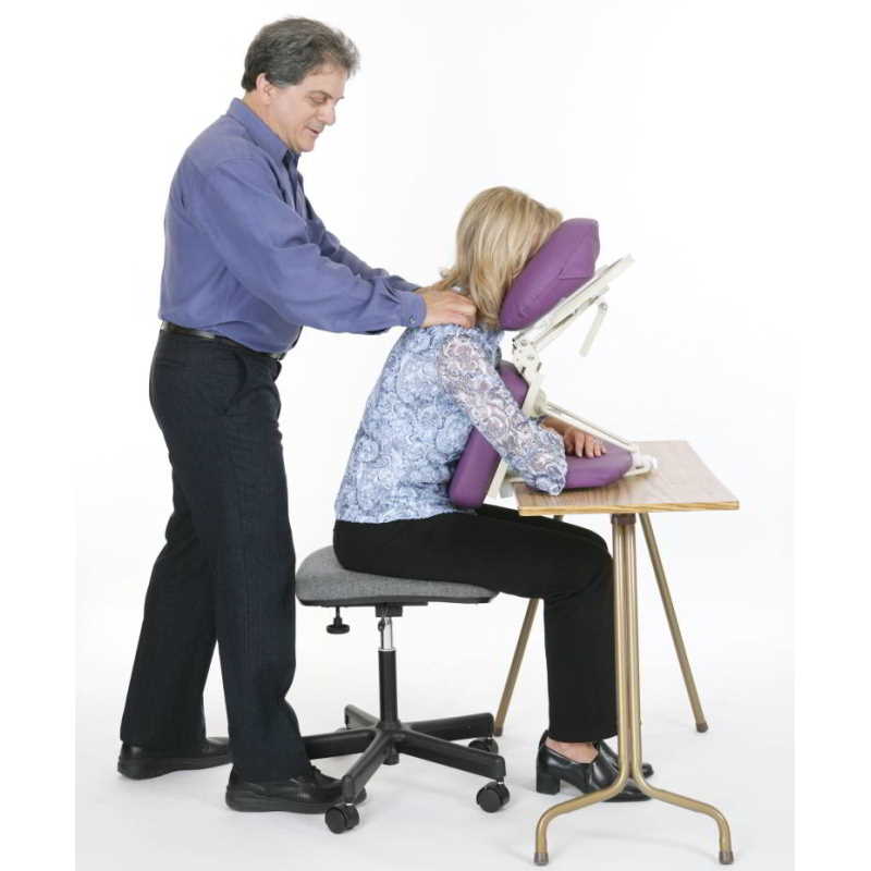 Pisces Dolphinette Desk Topper Seated Massage System - When you can't lug the whole massage chair but still want to give a quality massage.