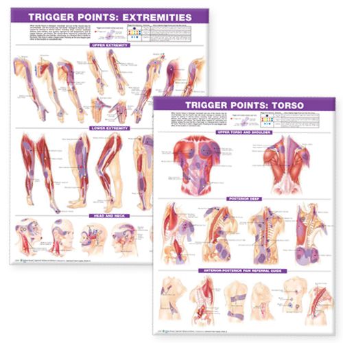 Trigger Points Chart Set - One of our most popular Trigger Point Chart Sets
