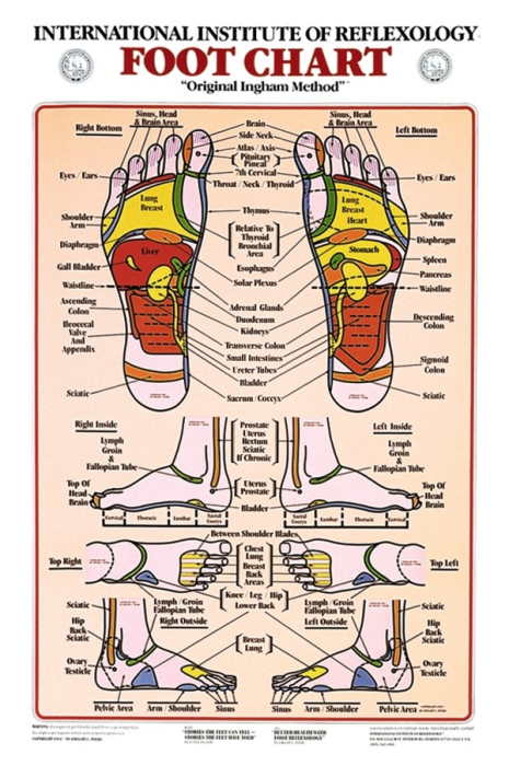 Picture of our Foot Reflexology Chart approved by the International Institute of Reflexology